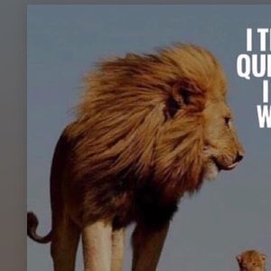 Meet your Posher, Domingo